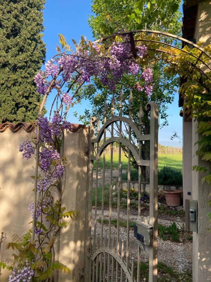 Monte Maino Bed & Breakfast Desenzano del Garda Zewnętrze zdjęcie