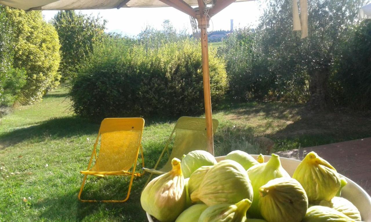 Monte Maino Bed & Breakfast Desenzano del Garda Zewnętrze zdjęcie
